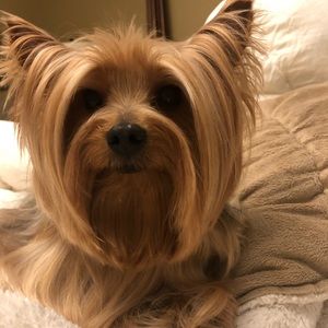 Meet your Posher, Joanne